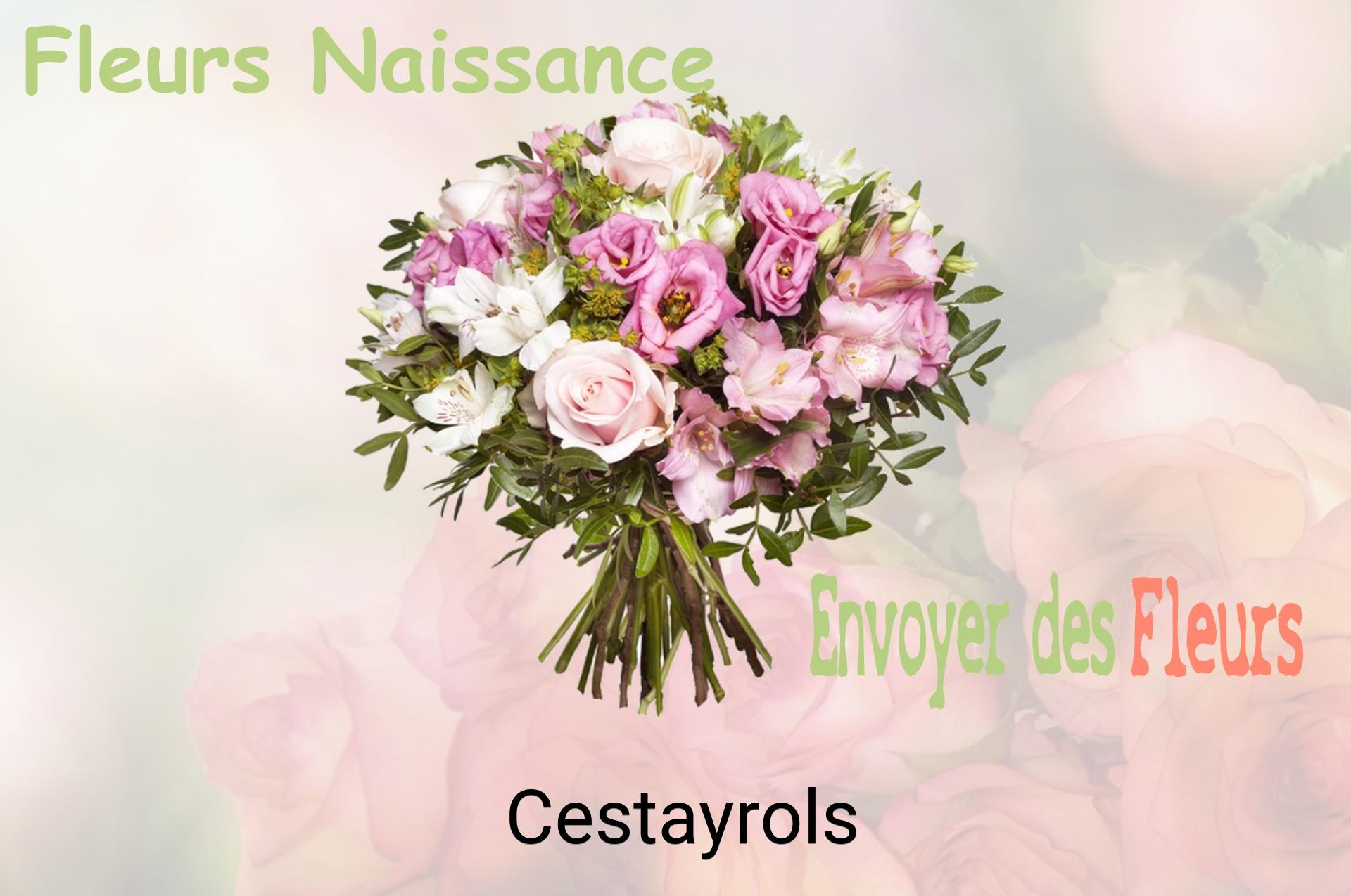 Bouquet de fleurs de naissance livré à Cestayrols